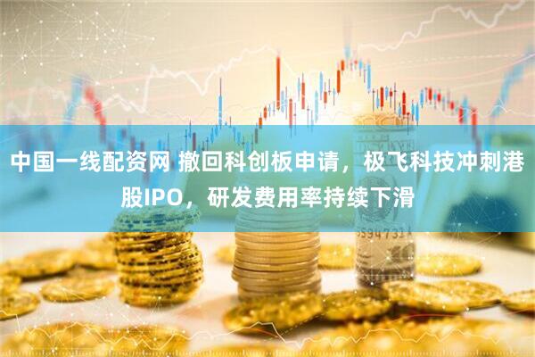 中国一线配资网 撤回科创板申请，极飞科技冲刺港股IPO，研发费用率持续下滑