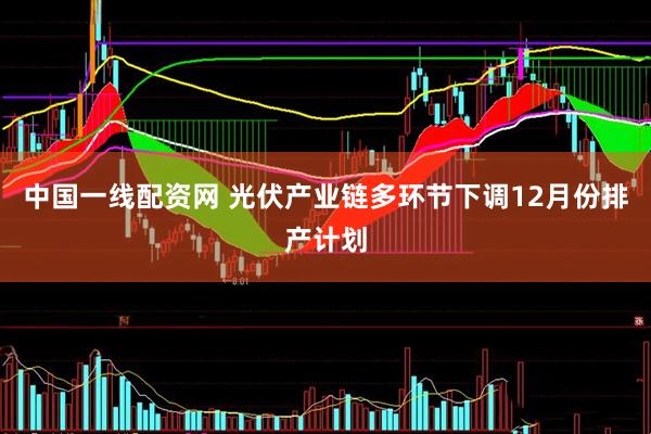 中国一线配资网 光伏产业链多环节下调12月份排产计划