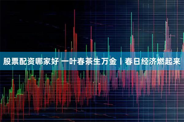 股票配资哪家好 一叶春茶生万金丨春日经济燃起来