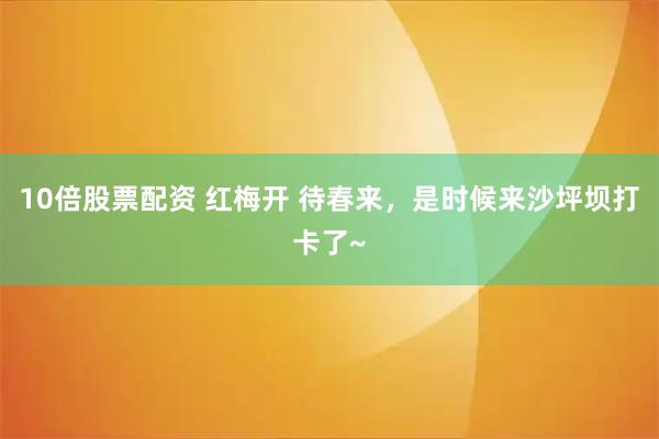 10倍股票配资 红梅开 待春来，是时候来沙坪坝打卡了~